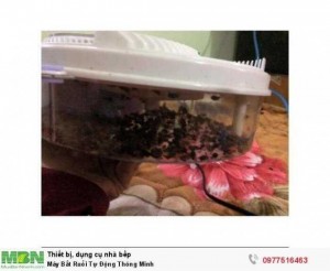 Máy Bắt Ruồi Tự Động Thông Minh