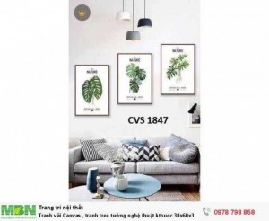 Tranh vải Canvas , tranh treo tường nghệ thuật kthuoc 30x60x3