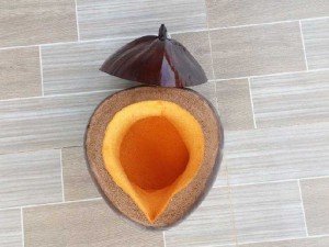 Vỏ bình trà bằng trái dừa khô