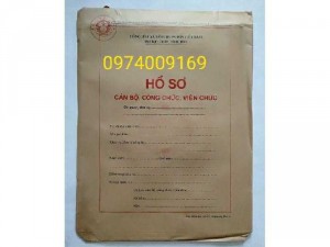 Bán bộ hồ sơ cán bộ công chức viên chức