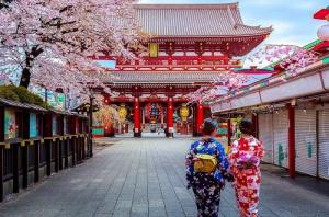 Tour Tokyo - Hakone - Fuji 4N4D