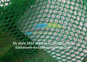 Lưới an toàn công trình