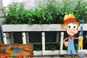 Chậu nhựa trồng rau 2 tầng ghép dài 1 mét