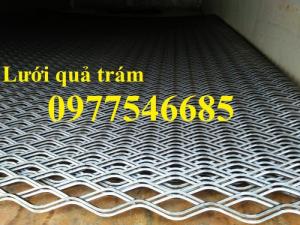 lưới quả trám
