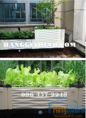 Chậu nhựa trồng rau ghép 2 bộ dài 1 mét
