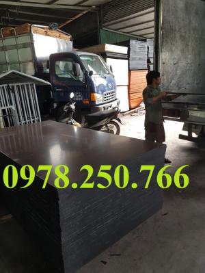 ván ép phủ phim gái rẻ TPHCM