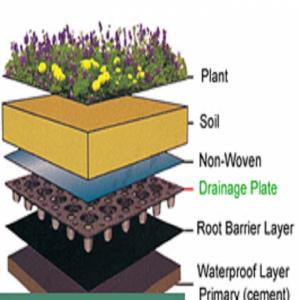 Chuyên sỉ Vỉ nhựa thoát nước, giá sỉ Vỉ thoát nước toàn phần