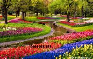 GẠCH 3D ỐP TƯỜNG PHONG THỦY ĐẸP HDP78