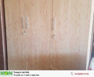 Tủ quần áo 3 cánh 2 ngăn kéo