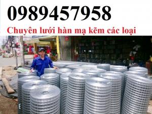 Lưới nhúng kẽm ô 25x25, 50x50, 50x100, 100x100 lưới hàn mạ kẽm