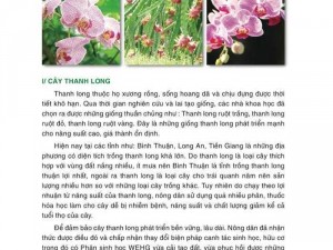 Phân bón sinh hoc wehg (2lit)