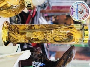 Cá Ngựa Các Loại