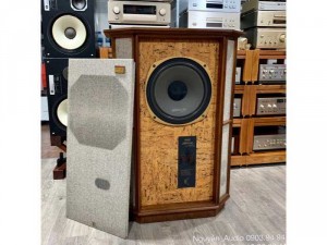 Loa TANNOY Memory