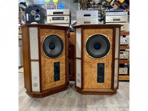 Loa TANNOY Memory