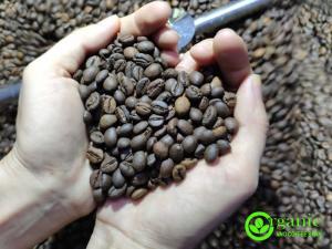 Cafe organic - cà phê hữu cơ - 100% xay nguyên hạt