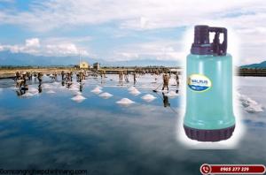 Các loại máy bơm nước biển nhập khẩu chất lượng cao