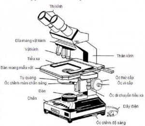 Kính hiển vi 2 mắt soi ký sinh trùng XSP-15, kính hiển vi soi ký sinh trùng độ phóng đại 1600 lần