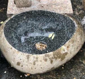 Lavabo Tự Nhiên Giá Rẻ