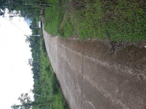 Đất Suối Cao 1ha4 300m thổ cư, 2ty