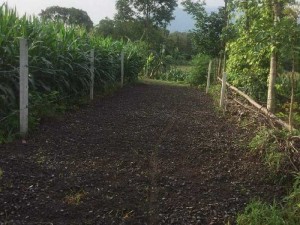 Đất Suối Cao 1ha4 300m thổ cư, 2ty