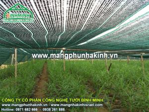 Lưới che nắng khổ 4m x50m, lưới che nắng màu xanh, lưới che nắng màu đen
