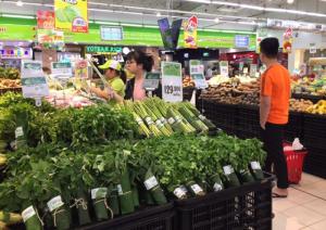 Bán lá chuối tươi, bán lá chuối sạch, cung cấp lá chuối, lá chuối sạch
0901 070 080