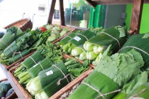 Bán lá chuối tươi, bán lá chuối sạch, cung cấp lá chuối, lá chuối sạch
0901 070 080
