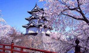 Du Lịch Nhât Bản - Tokyo 5 ngày 4 đêm