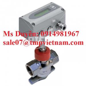 Thermal dispersion flow meters EE772 Riels Việt nam