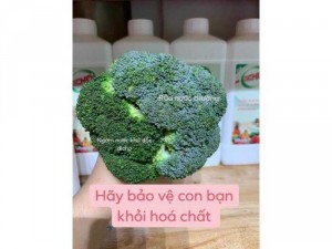 Nước Rửa Bát DICHO , Thành phần hữu cơ Thiên Nhiên an toàn cho sức khoẻ