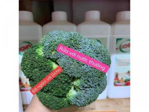 Nước Rửa Bát DICHO , Thành phần hữu cơ Thiên Nhiên an toàn cho sức khoẻ