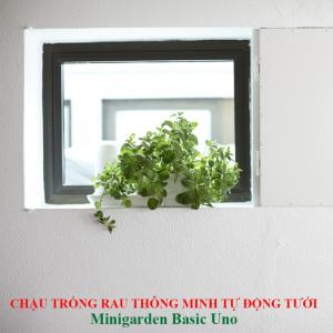 Chậu trồng rau tự động tưới thông minh Minigarden Basic Uno