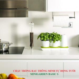 Chậu Trồng Rau Tự Động Tưới Thông Minh Minigarden Basic S Bồ Đào Nha, Bảo Hành 10 Năm, sử dụng trồng rau trong nhà và ngoài trời