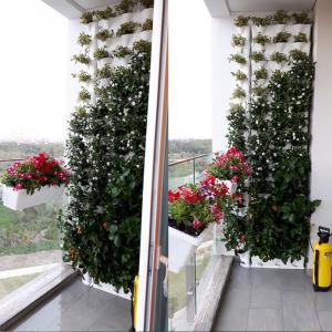 Vườn đứng ban công chung cư Sala Q2