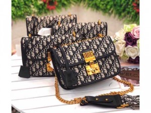túi xách hàng hiệu dior Authentic thêu tay