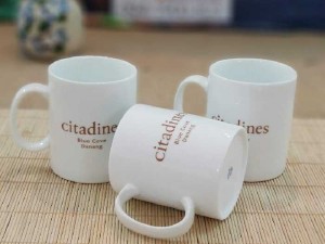 In ly sứ. Ca sứ làm wùa tặng giá rẽ