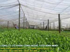 Nhà lưới trồng rau, nhà lưới trồng hoa, nhà lưới trồng dưa lưới, nhà lưới nhà kính, nhà lưới giá rẻ