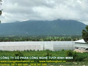 Nhà lưới trồng rau, nhà lưới trồng hoa, nhà lưới trồng dưa lưới, nhà lưới nhà kính, nhà lưới giá rẻ