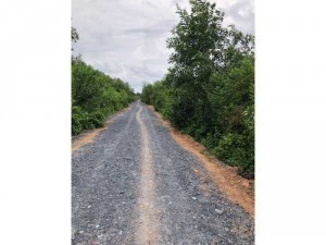 bán dât 838 gan khu nang luong mat troi