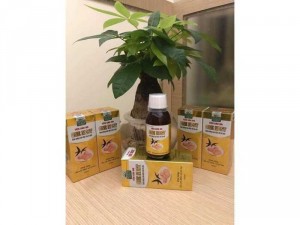 siro yến sào one nest