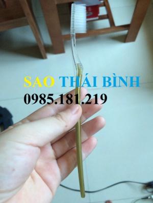 Bàn chải dùng cho khách sạn, nhà nghỉ và homestay giá rẻ