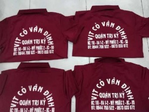 Áo thun đồng phục đặc sản vịt cổ vân đìn