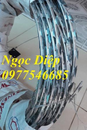 Dây thép gai cuộn, dây thép gai mạ kẽm hình dao