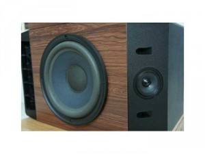 Loa bose 301 seri iv.