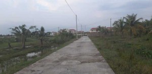 Nền giá rẻ, đường ôtô, 2,8tr/m2, VL