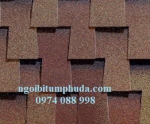 Ngói bitum kiểu vẩy rồng