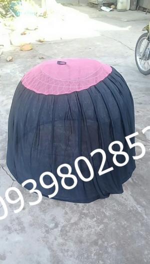 Mùng gà nòi giá rẻ