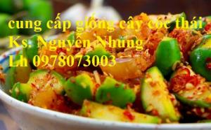 Cóc Thái cho quả rất sớm ,quả có vị chua giòn ,có thể ăn sống hoặc đem muối, đây là món ăn rất phổ biến ở Việt Nam. Ngoài ra, bạn có thể chế biến cho mình một ly nước cóc ép thơm mát hoặc làm món cóc dầm muối ớt, mứt cóc dẻo, gỏi cóc lạ miệng nhưng rất thơm ngon