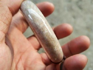 Vòng san hô hóa thạch VSH024