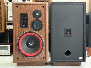 Loa Cerwin Vega AT12 Mỹ xịn về đường máy bay